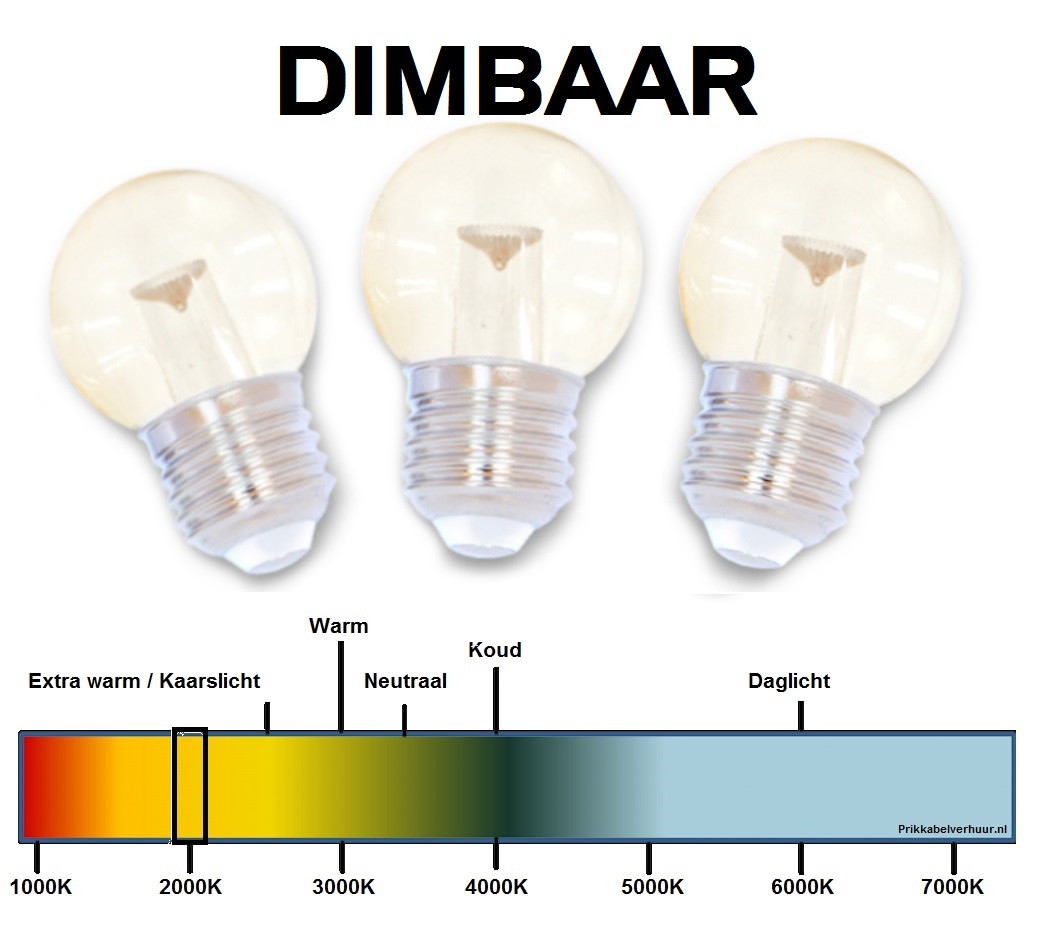 Broer Voorkomen Tutor Prikkabel 25 meter 25 heldere warm witte LED lampen huren | Dimbaar